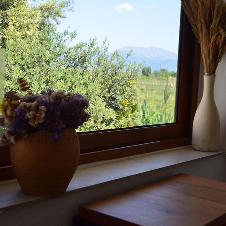 Rustic Tale Guesthouse 外观 照片